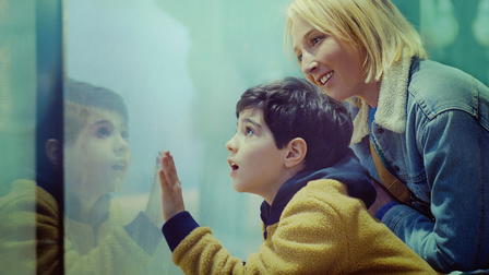 Escalando o Everest de Chinelos