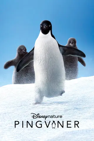 Disneynature Pingviner