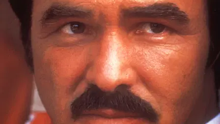 Ud At Køre Med De Skøre