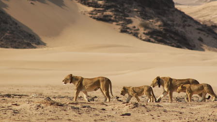 Namibia's Desert Kingdom