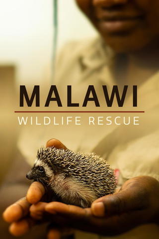 Malawi Wildlife Rescue