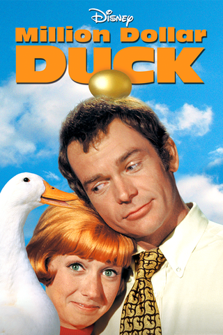 The Million Dollar Duck