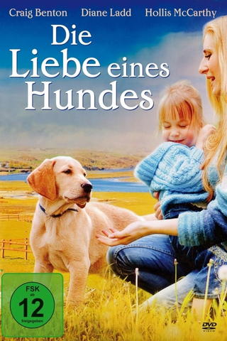 Die Liebe eines Hundes