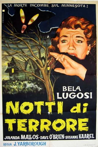 Notti di terrore