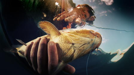 Hillbilly Handfishin'