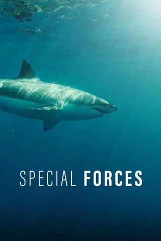 Special Forces (Español)