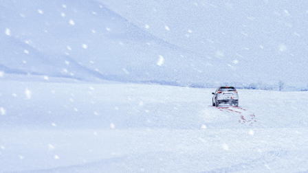 The Woman in the White Car