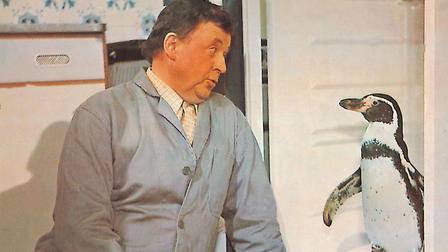 My Father, the Ape and I