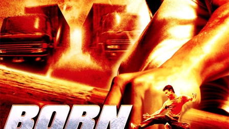Born to Fight