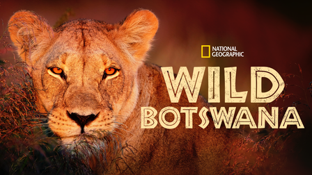 Wild Botswana