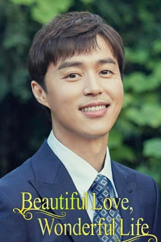 Beautiful Love, Wonderful Life