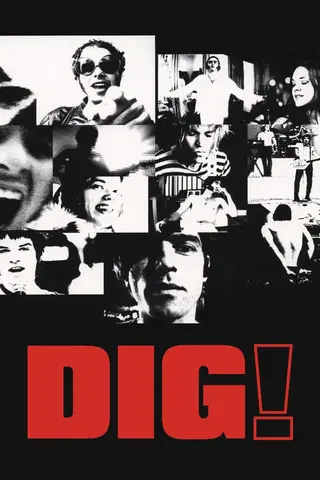 DIG! XX