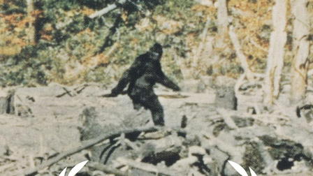 Capturing Bigfoot
