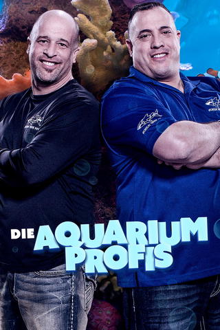 Projekt AKWARIUM