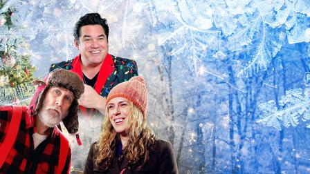 Hank's Christmas Wish 2: The Nutcracker