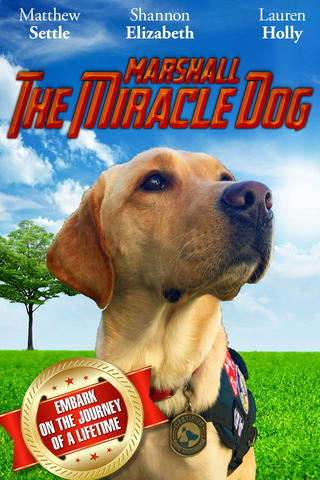 Marshall - Mirakel-hunden