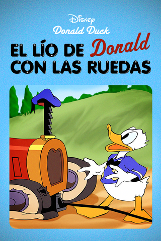 Parches para ruedas