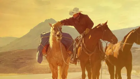 The Long Rider