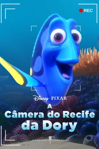 A Câmera do Recife da Dory
