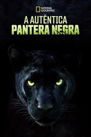 Pantera Negra: O Reino Selvagem