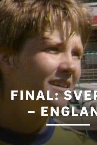 EM-final i fotboll 1984