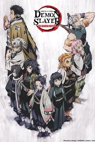 Demon Slayer: Kimetsu no Yaiba — The Hashira Meeting Arc