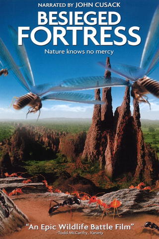 The Besieged Fortress