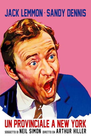 Un provinciale a New York