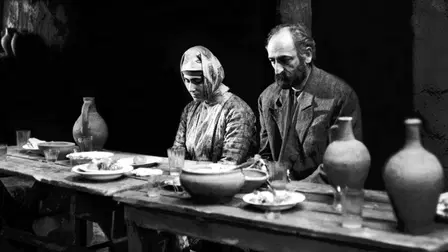 Naapet - en kärna av liv