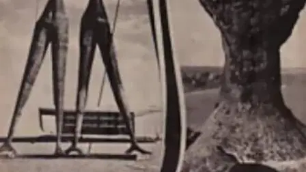 Alvorada: Brazil's Changing Face