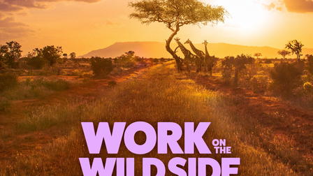 Work on the Wild Side