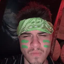 Sebastian Alimardani