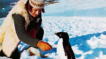 Mr. Forbush and the Penguins