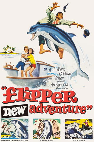 Flipper y los piratas