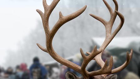 Ráidu live – Renrajd i Jokkmokk