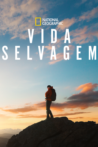 Vida Selvagem
