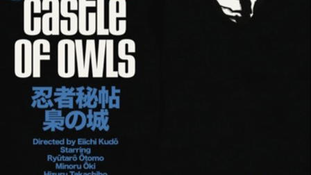 Castle of Owls