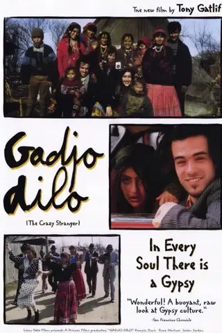 Gadjo dilo - främlingen
