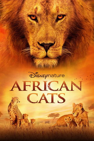 African Cats