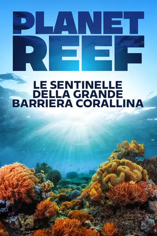 Le sentinelle della Grande Barriera Corallina