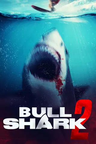 Bull Shark 2