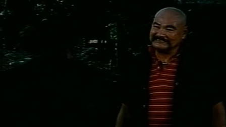 U.S. Catman 2: Boxer Blow