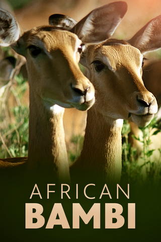 African Bambi