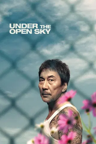 Under the Open Sky