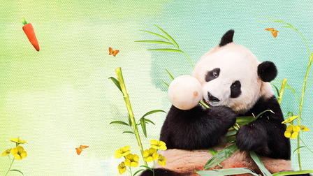 Mi querida Fu Bao