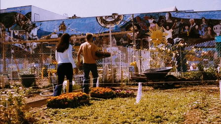 Uma Coisa Nova: As Surpresas do Coração