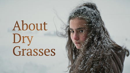 About Dry Grasses