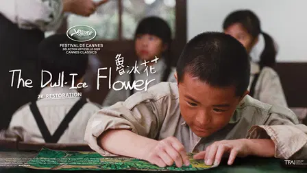 The Dull-Ice Flower