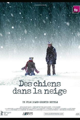 Des chiens dans la neige