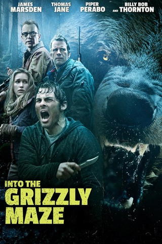 Into the Grizzly Maze